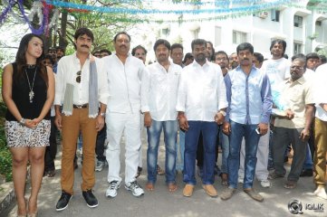 Jalsa Rayudu Movie Opening